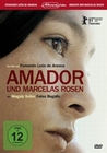 Amador und Marcelas Rosen