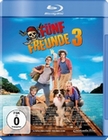 Fnf Freunde 3