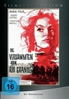 Die Verdammten vom Rio Grande - Filmclub Ed. 19