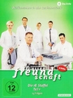 In aller Freundschaft - Staffel 18.1 [6 DVDs]