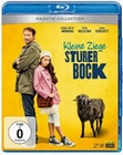 Kleine Ziege, sturer Bock