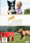 Hunde IQ - Der intelligente Hund