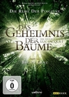 Das Geheimnis der Bume