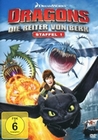 Dragons - Die Reiter von Berk - St. 1/Vol. 1-4