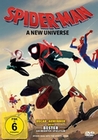 Spider-Man - A New Universe