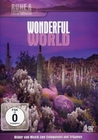 Wonderful World