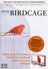 BIRDCAGE (DVD)